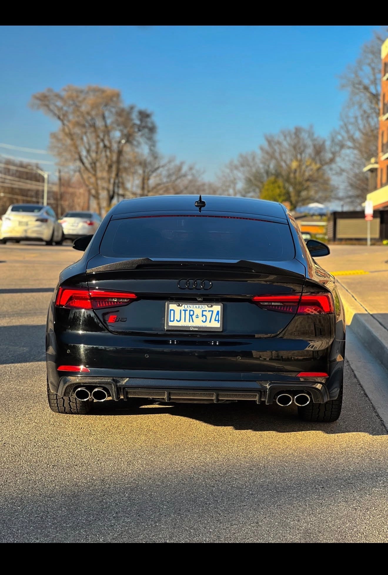 Premium Carbon Fiber Spoiler for Audi A5,S5, & RS5 | OEM Fit (B9 B9.5)